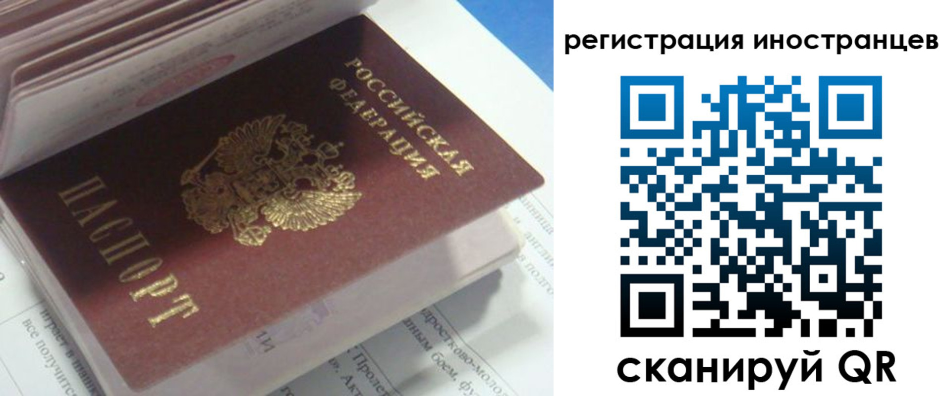 пропишу в квартире в Александровске